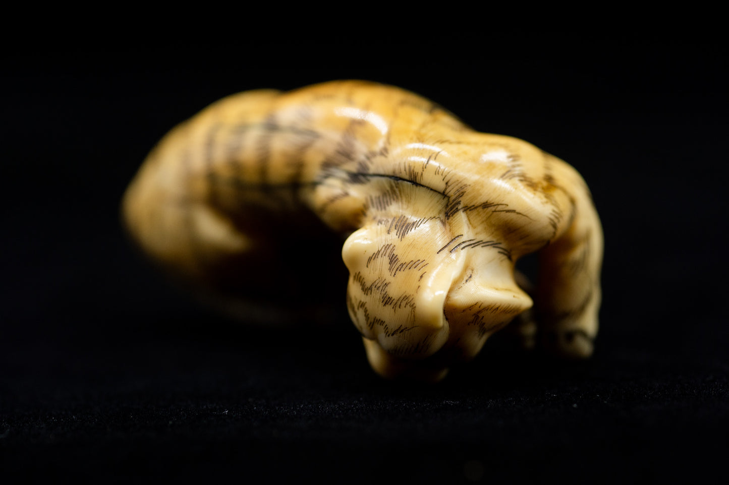 Signed NETSUKE Tige Japanese Antique Vintage