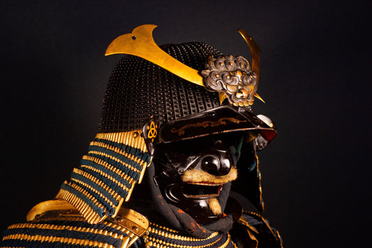 What Is a Menpo? A Complete Guide to Samurai Face Armor
