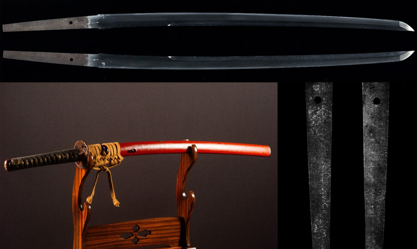 Katana Fujiwara Shigeyuki  in 1630 Suriage 66cm Japanese Antique Samurai Sword