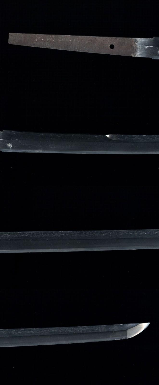 Katana Fujiwara Shigeyuki  in 1630 Suriage 66cm Japanese Antique Samurai Sword