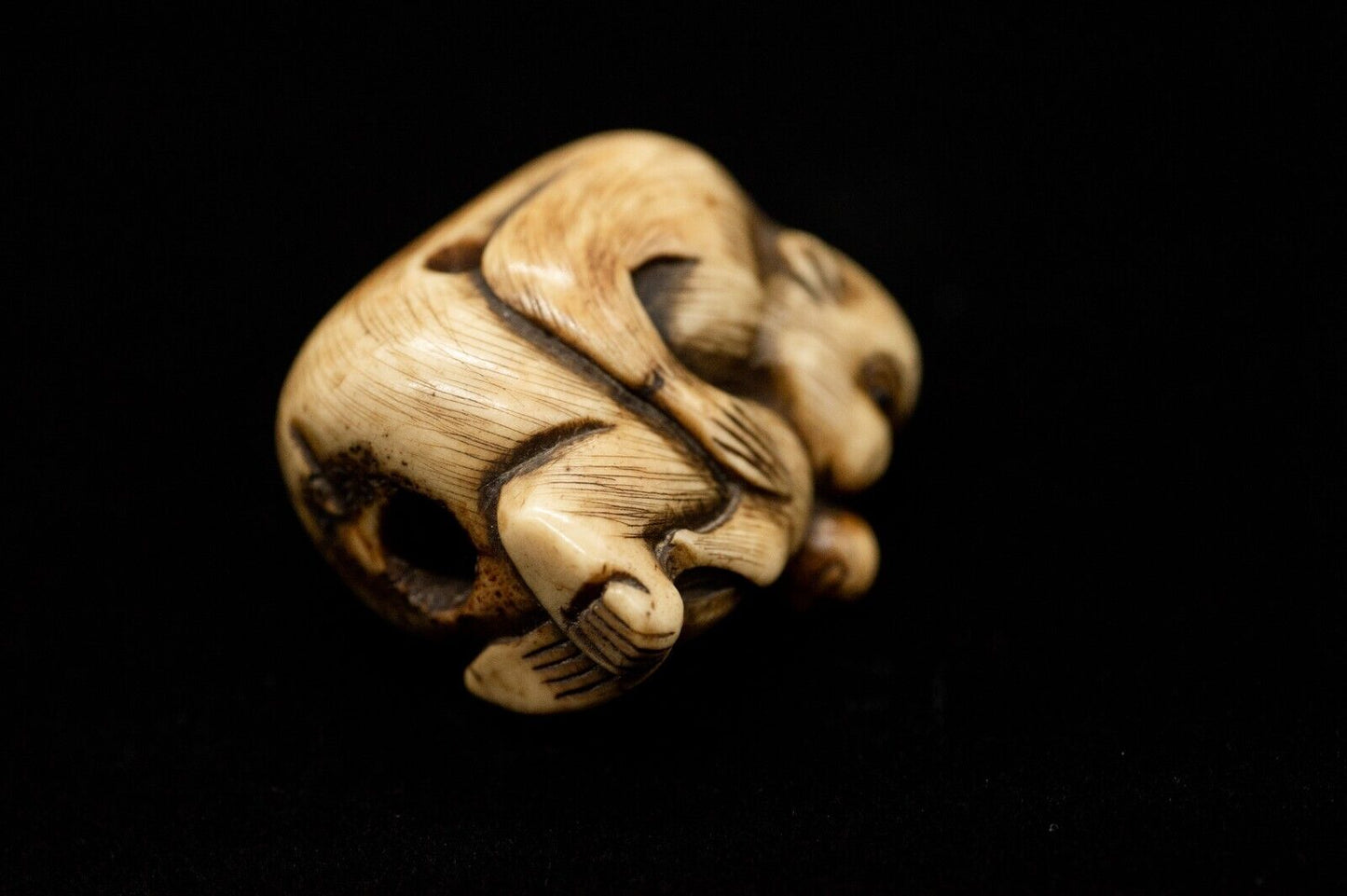 Stag Antler NETSUKE Monkey has baby Japanese Edo - Meiji Antique Vintage