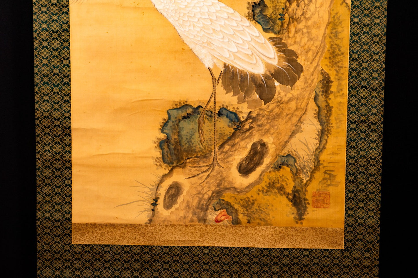 Image #5